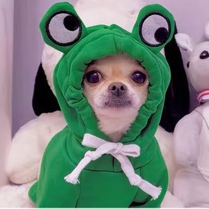 Frog Dog Outfit Dog Suit Costume Pet